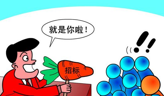 注册公司参与招投标有风险吗